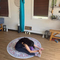 Therapeutic Stretch & Flow for Longevity