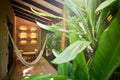 Costa Rica Retreat Double Occupancy - Balance